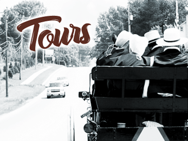 Amish horse-drawn carriage on a rural road.