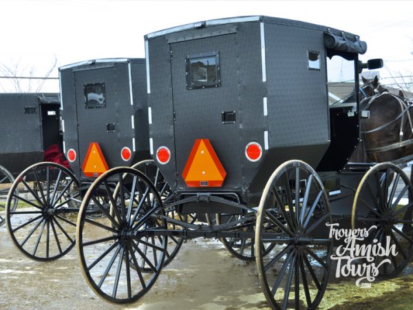 Amish Tours in Holmes County by local guide with Old Order roots