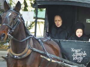 A woman and child in the back of a horse drawn carriage.