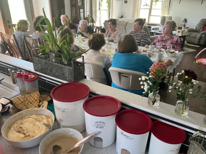 Senior women socializing at table with desserts